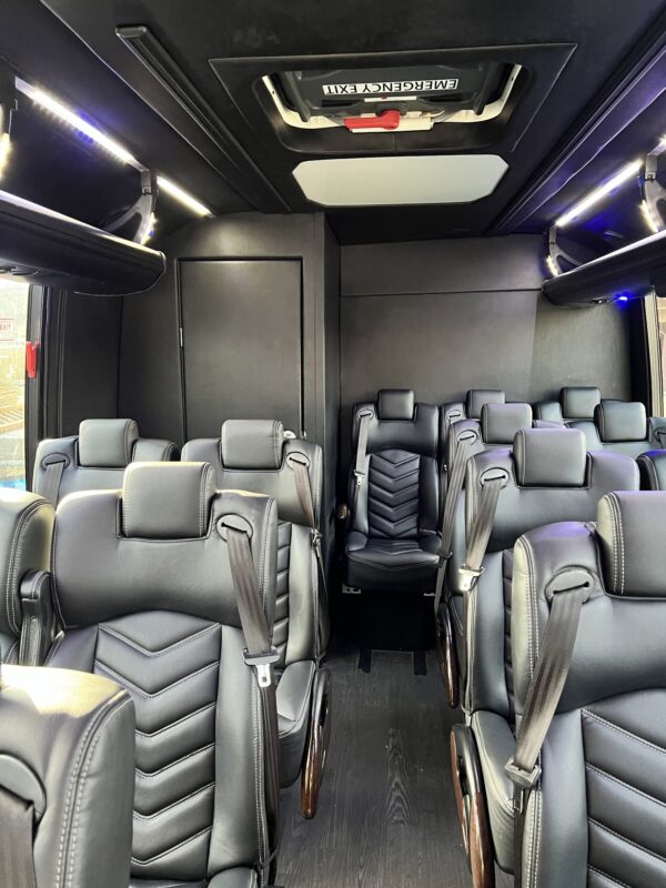 39 Passenger Luxury Bus. 