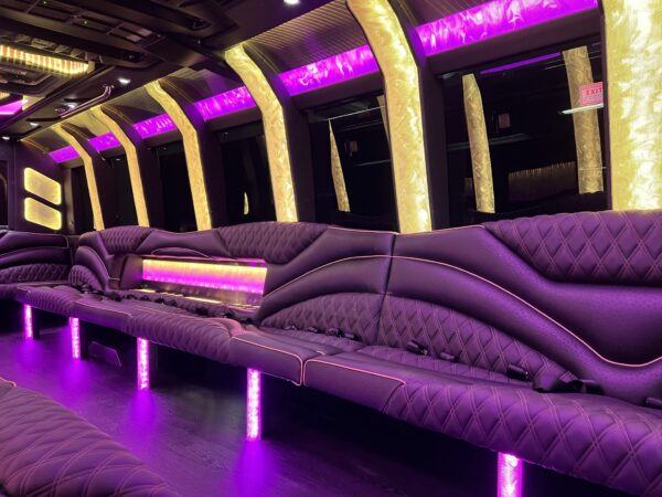 23 passenger party deluxe bus night lights DFW Executive Limos